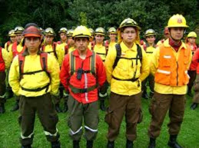 Resolución 0256  creacion brigadistas y contraincendios