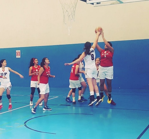 I have been practicing in my sport for 7 years. Since 2010 until 2017.