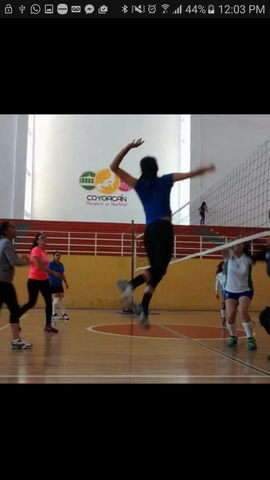 What do you consider your highlight in your sport?