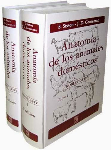 (1933) ANATOMÍA DE LOS ANIMALES DOMÉSTICOS