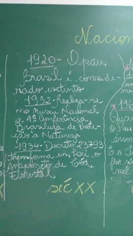 Nacional: o Pau-brasil é considerado extinto