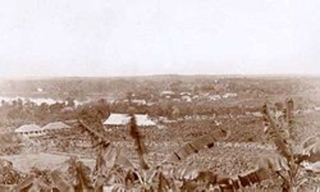 Fuerzas de Kinshasa y sus aliados