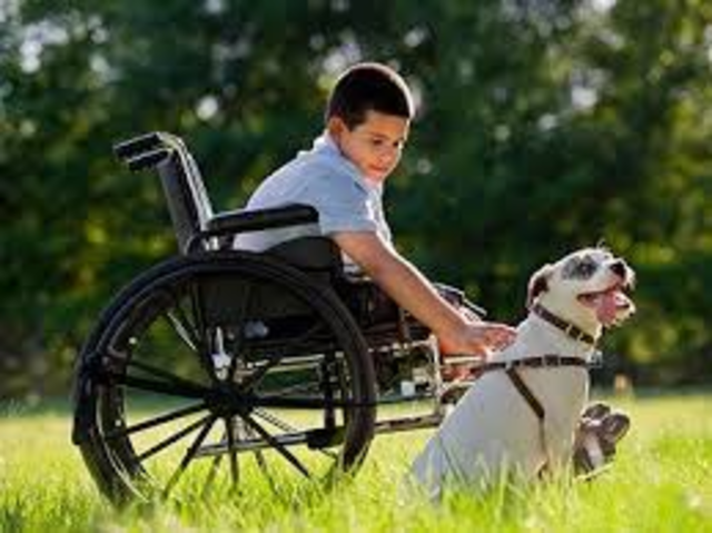Dogs for the Disabled