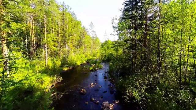 Создание заповедника