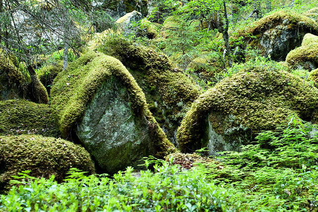 заповедник "Дружба"