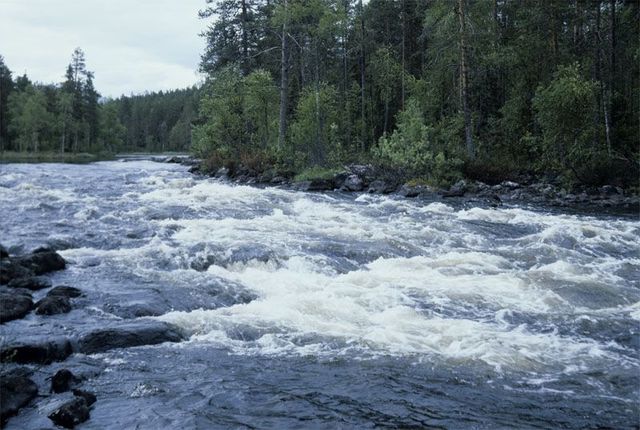 национального парка «Водлозерский»