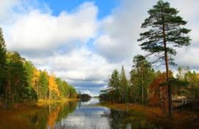 присвоение диплома совета европы