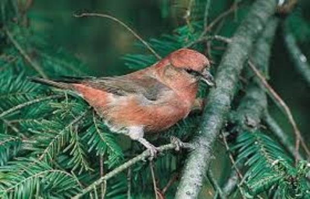 сохранения биоразнообразия