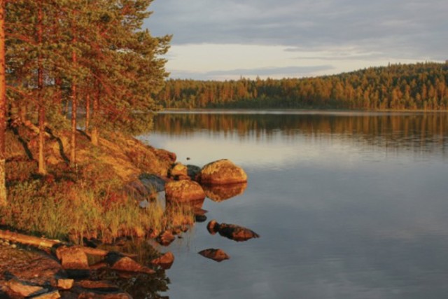 План действий по охране окружающей среды