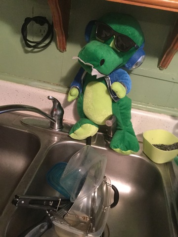 Fulano lave les plats