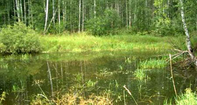 Цель создания