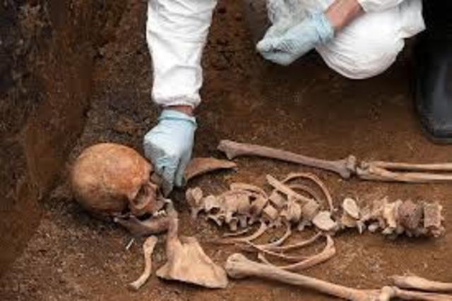 ANTROPOLOGIA FISICA (ANTIGUEDAD ) Heródoto ( ca.484- ca. 420 a.C.), Ctesias ( ca. 416 a.C.) o Aristóteles (384-322 a.C.)-