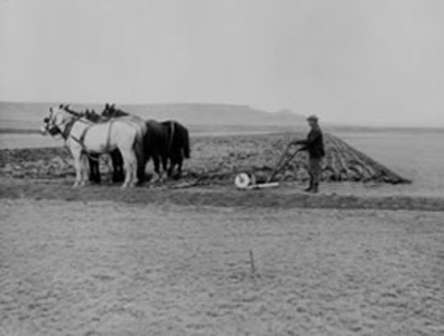 Energy provides for humans