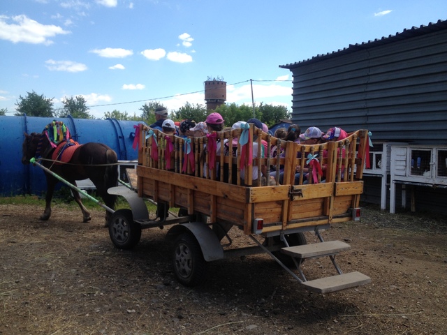 Летний школьный лагерь