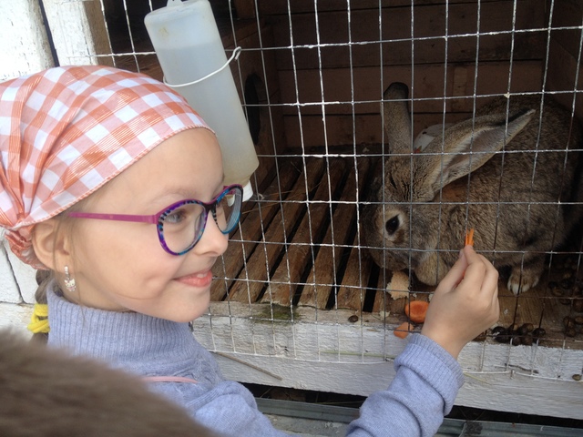 Летний школьный лагерь