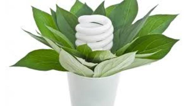 Международный день энергосбережения. (команда "Экологический десант")