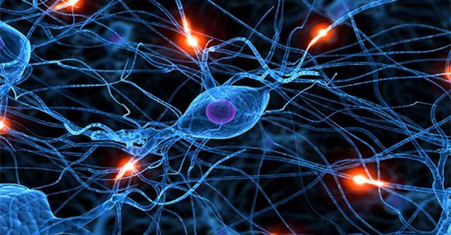 Psicología mecanicista/materialista