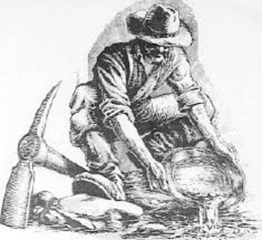 SOCIEDAD MINERA EL ZANCUDO