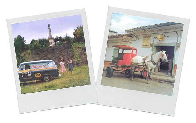 SOLLA NUTRICIÓN ANIMAL