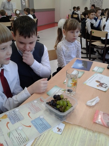 Посвящение в исследователи