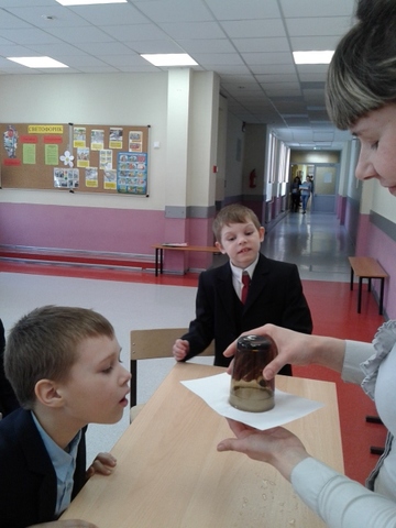 Посвящение в исследователи