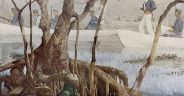 The Green War escalates