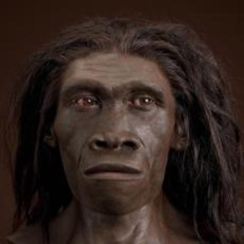 H. Erectus: 1.89 mya-143,000 ya