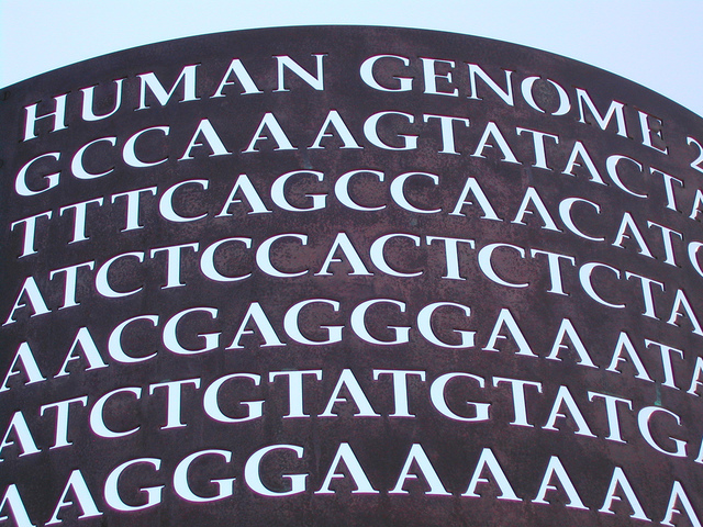Human Genome Project