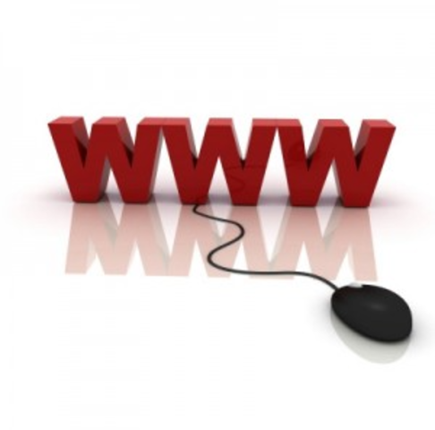 Inicio de la Web como servicio público disponible en internet