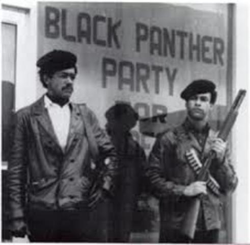 The Black Panther Party