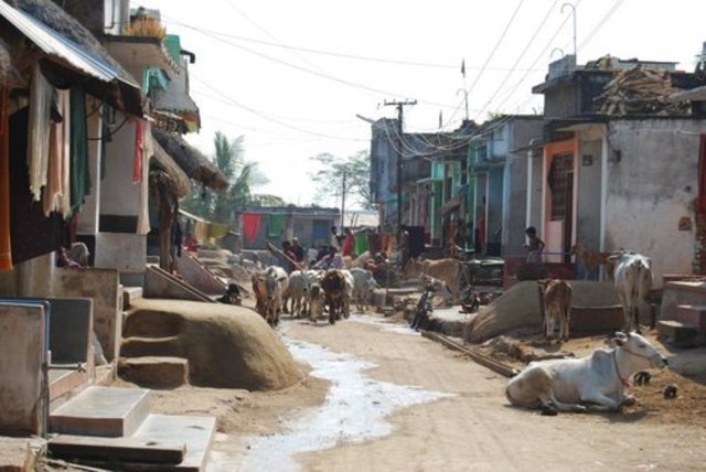 Birth of Peter in Goa, India
