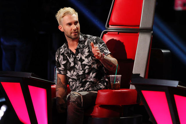Chosen as music coach on The Voice
