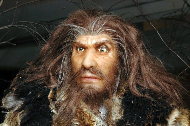 Homo Neanderthalensis