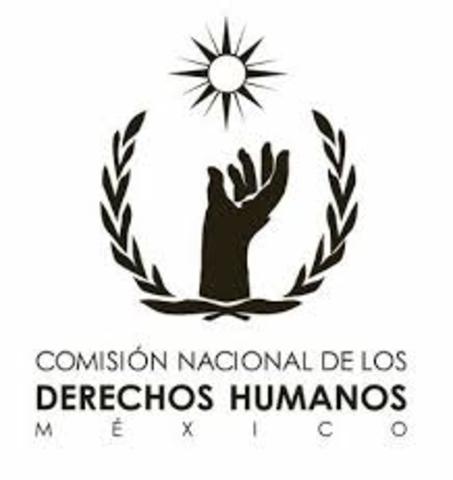 Comisión Nacional de los Derechos Humanos (CNDH).