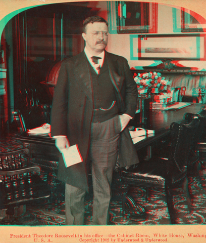 President Roosevelt Second Term