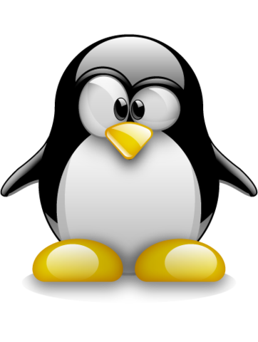 Powstaje system Linuks