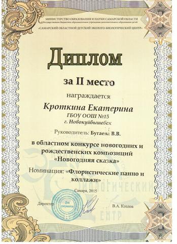 Диплом (2 место)