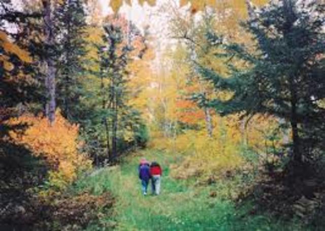 Cassie Becomes "Friends" With Lillian Jean