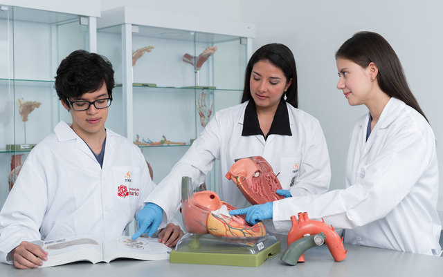 Creación laboratorio de modelos anatómicos