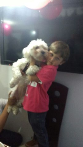 El primer año de mi hermano