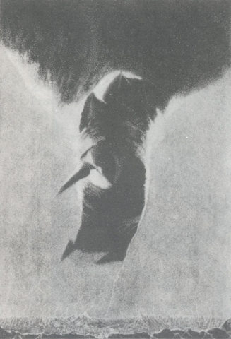 Wariacje dla Grażynki