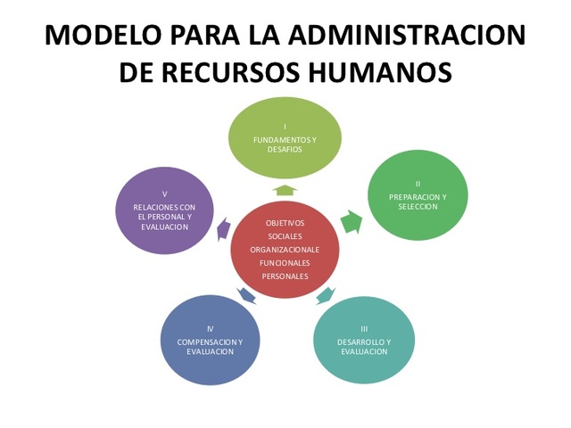 Modelo de los recursos humanos