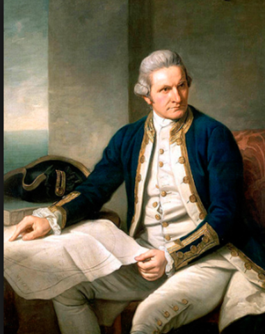 caption cook arrived in australia