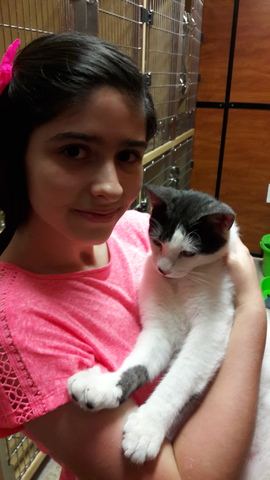 Amor por la servicio