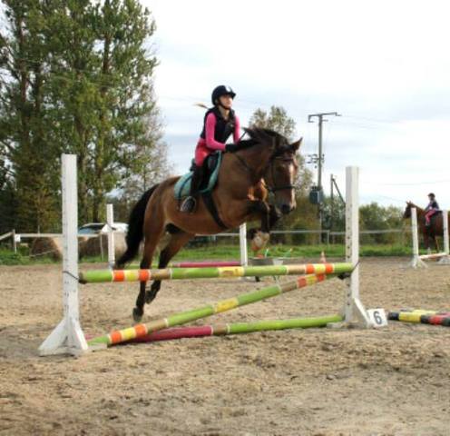 Hakkasin ratsatrennis käima