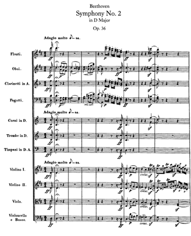 Tema teine tähtis teos