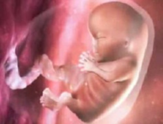 17/02/17 – 23/02/17 Semana 8