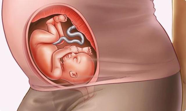 19/05/17 – 22/06/17 Semanas 21 a 25