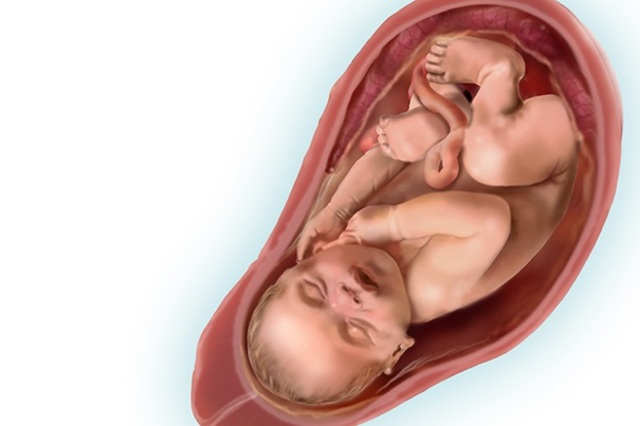 22/09/17 – 05/10/17 Semanas 39 y 40