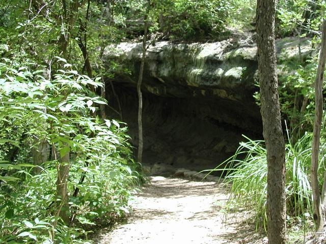 Brian Creates His Shelter